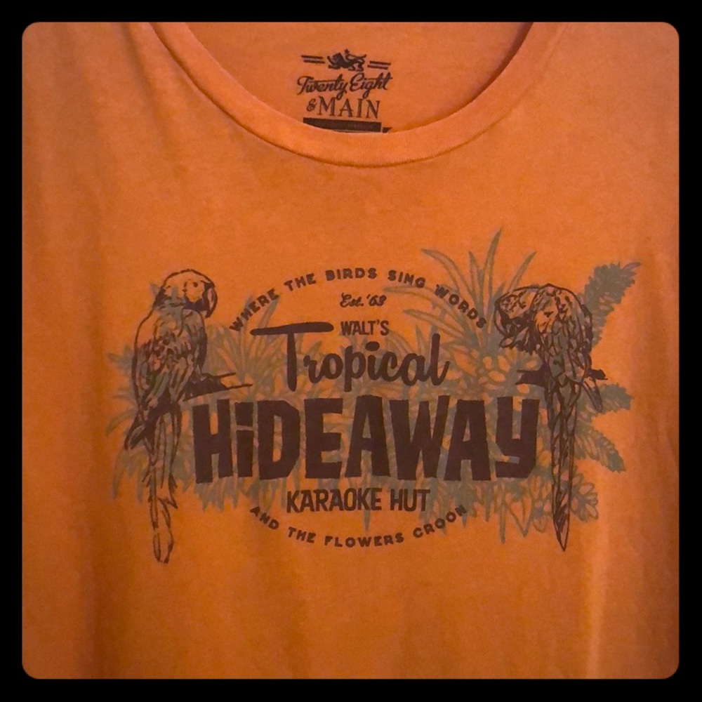 Lot of Disney Parks T-shirts; All New, Never Worn